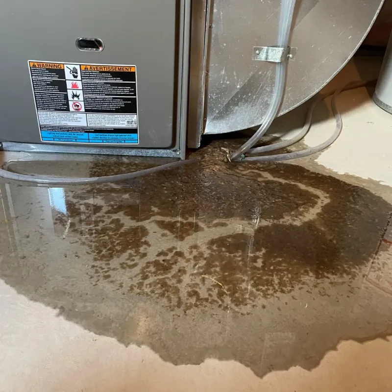 Appliance Leak Cleanup in Windsor, IL