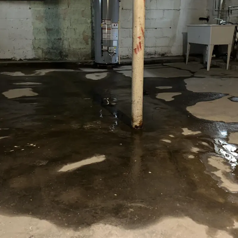 Emergency Water Extraction And Removal in Windsor, IL